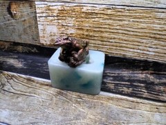 Handmade 4 inch long bearded dragon on a log mold. mold only