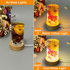 Cylinder Light Resin Mold,LED Silicone Resina Mould with 2 Pcs USB Powered Woode