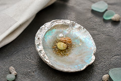 Handmade Abalone Shell Mold For Resin (Small Set)