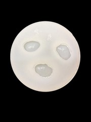 Handmade Abalone Shell Mold For Resin (Small Set)