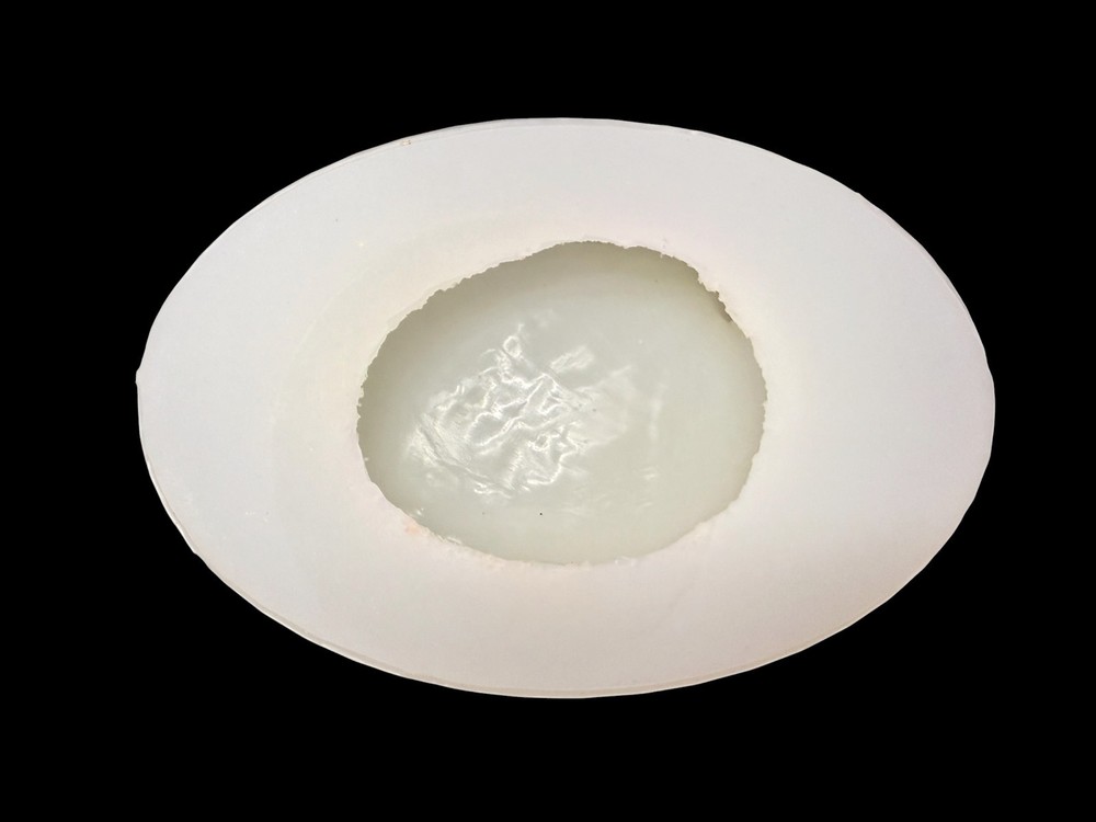 Handmade Abalone Shell Mold For Resin (Large)