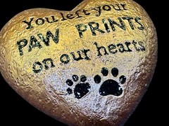 Handmade Heart Pet Memorial Silicone Mold For Resin