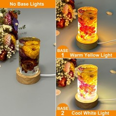 Voaesdk Cylinder Light Resin Mold,LED Silicone Resina Mould with 2 Pcs USB Po…