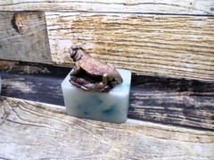 Handmade 4 inch long bearded dragon on a log mold. mold only