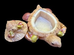 Handmade Turtle Jar Silicone Mold For Resin