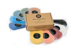 MEYSPRING 2Tone Collection Mica Powder Set – Epoxy Resin Color Pigment Resin Dye