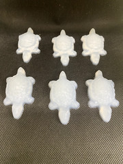 Set of 6 Medium Size Turtle Silicone Inlays – Perfect for Crafting Enthusiasts!