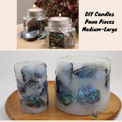 Abalone (Pāua) Shell Pieces-7.05Oz Pack-For Crafts, Jewelry Making, Resin Art, I