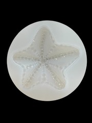 Diamond Studded Starfish Mold For Resin