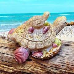 Handmade Turtle Jar Silicone Mold For Resin