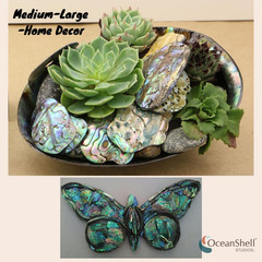 Abalone (Pāua) Shell Pieces-7.05Oz Pack-For Crafts, Jewelry Making, Resin Art, I